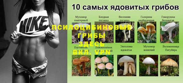 MDMA Premium VHQ Медвежьегорск