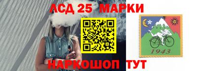 бошки Кимры
