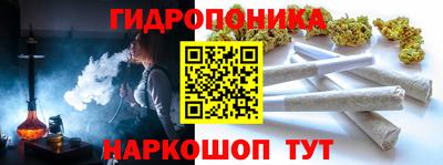 бошки Кимры