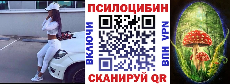 кракен ТОР Новошахтинск Галлюциногенные грибы мицелий